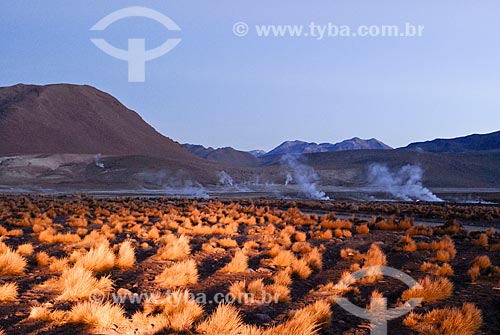  Subject: Tatio geysers / Place: Atacama Desert - San Pedro de Atacama - Chile / Date: 01/2011 
