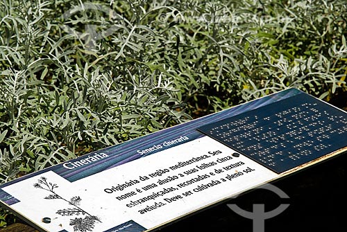  Subject: Plant identification card with translation into Braille reading system / Place: Botanical Garden neighborhood - Rio de Janeiro city - Rio de Janeiro state (RJ) - Brazil / Date: 11/2010 