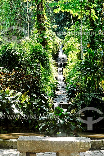  Subject: Waterfall in the Botanical Garden / Place: Botanical Garden neighborhood - Rio de Janeiro city - Rio de Janeiro state (RJ) - Brazil / Date: 11/2010 