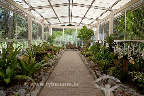  Subject: Greenhouse of bromeliads  / Place: Botanical Garden neighborhood - Rio de Janeiro city - Rio de Janeiro state (RJ) - Brazil / Date: 11/2010 