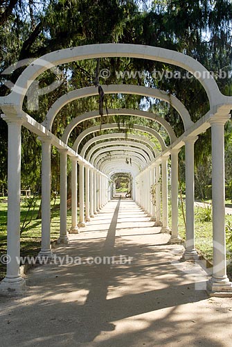  Subject: Bower in the Botanical Garden / Place: Botanical Garden neighborhood - Rio de Janeiro city - Rio de Janeiro state (RJ) - Brazil / Date: 11/2010 