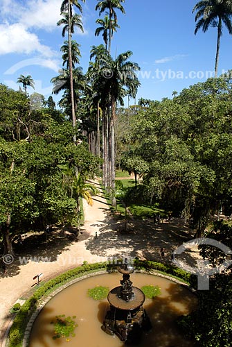  Subject: Fountain of the Muses and Royal palms  in the background in the Botanical Garden / Place: Botanical Garden neighborhood - Rio de Janeiro city - Rio de Janeiro state (RJ) - Brazil / Date: 11/2010 