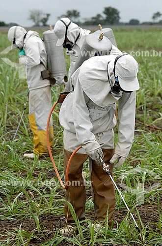 Subject: Application of pesticides in Sugar cane plantation / Place: Campos city - Rio de Janeiro state (RJ) - Brazil / Date: 07/2007 