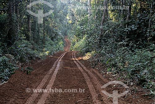  Subject: Road into the forest / Place: Amazonas state (AM) - Brazil / Date: 2003 