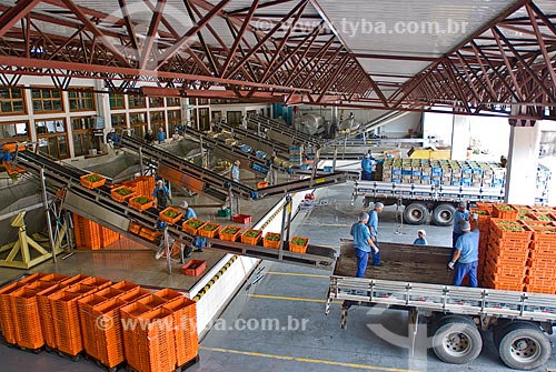  Subject: Unloading of grapes of Salton Winery / Place: Bento Gonçalves city - Rio Grande do Sul state (RS) - Brazil / Date: 02/2009 