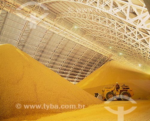  Subject: Soybean storage silo / Place: São Francisco do Sul city - Santa Catarina state (SC) - Brazil / Date: 2007 
