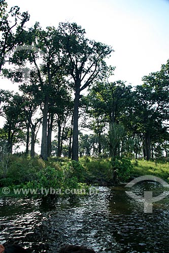  Subject: Igarape on Amazonas River / Place: Parintins city - Amazonas state (AM) - Brazil / Date: 06/2011 