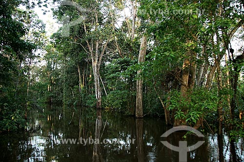  Subject: Igarape on Amazonas River / Place: Parintins city - Amazonas state (AM) - Brazil / Date: 06/2011 