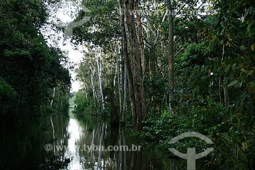  Subject: Igarape on Amazonas River / Place: Parintins city - Amazonas state (AM) - Brazil / Date: 06/2011 