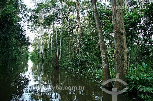  Subject: Igarape on Amazonas River / Place: Parintins city - Amazonas state (AM) - Brazil / Date: 06/2011 