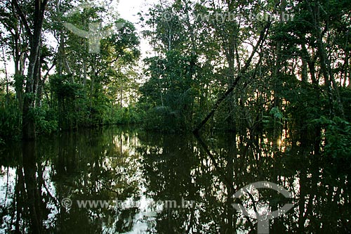  Subject: Igarape on Amazonas River / Place: Parintins city - Amazonas state (AM) - Brazil / Date: 06/2011 