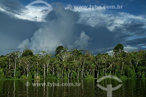  Subject: Igarape on Amazonas River / Place: Parintins city - Amazonas state (AM) - Brazil / Date: 06/2011 