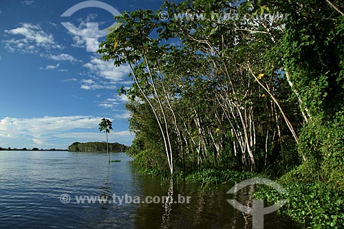  Subject: Igarape on Amazonas River / Place: Parintins city - Amazonas state (AM) - Brazil / Date: 06/2011 