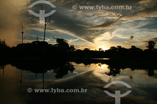  Subject: Igarape of Amazonas River / Place: Parintins city - Amazonas state (AM) - Brazil / Date: 06/2011 