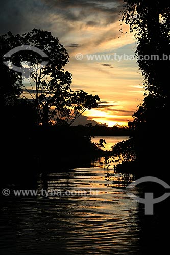  Subject: Igarape of Amazonas River / Place: Parintins city - Amazonas state (AM) - Brazil / Date: 06/2011 