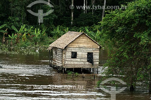  Subject: Houses on stilts on the banks of the Amazon River / Place: Parintins city - Amazonas state (AM) - Brazil / Date: 06/2011 