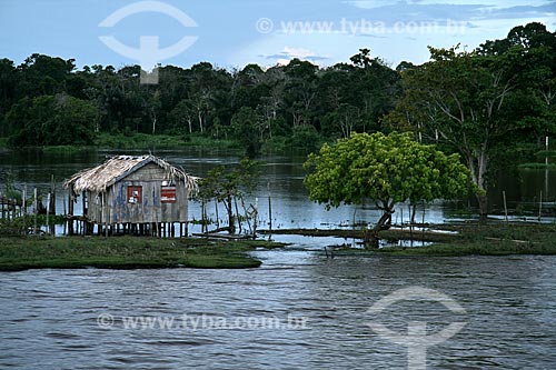  Subject: Houses on stilts on the banks of the Amazon River / Place: Parintins city - Amazonas state (AM) - Brazil / Date: 06/2011 