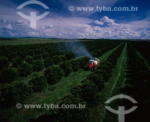  Subject: Pulverization of orange plantation / Place: Sao Carlos city - Sao Paulo state (SP) - Brazil / Date: 2007 