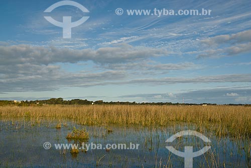  Subject: Custodia lagoon - Bogs in the North Coast (permanently or temporarily flooded areas)  / Place: Tramandai city - Rio Grande do Sul state (RS) - Brazil / Date: 09/2009 
