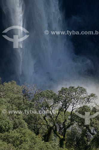  Subject: View of the Caracol Waterfall / Place: Canela city - Rio Grande do Sul state (RS) - Brazil / Date: 07/2011 