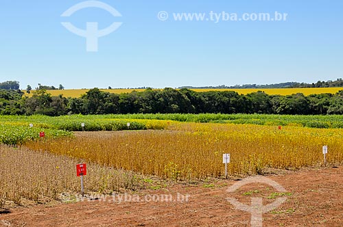  Subject: Testing of dry soybeans - Experimental station / Place: Nao-Me-Toque city - Rio Grande do Sul state (RS) - Brazil / Date: 03/2011 