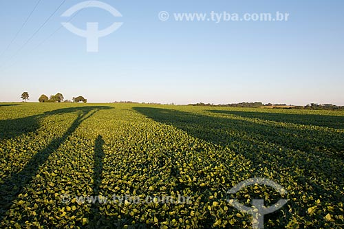  Subject: Soybean planting / Place: Nao-Me-Toque city - Rio Grande do Sul state (RS) - Brazil / Date: 03/2011 