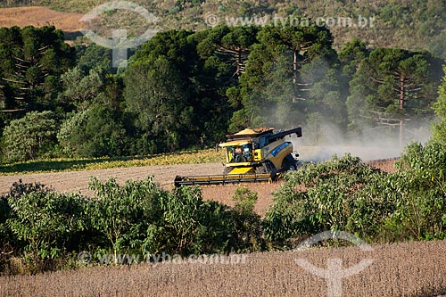  Subject: Mechanized harvesting of soybean / Place: Lagoa Vermelha city - Rio Grande do Sul state (RS) - Brazil / Date: 04/2011 