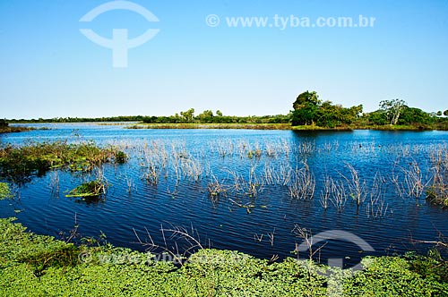  Flooded field and some capoes  - Corumba city - Mato Grosso do Sul state (MS) - Brazil
