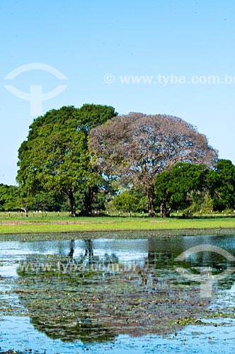 Subject: Lake at Sao Joao Farm / Place: Corumba city - Mato Grosso do Sul state (MS) - Brazil / Date: 10/2010 