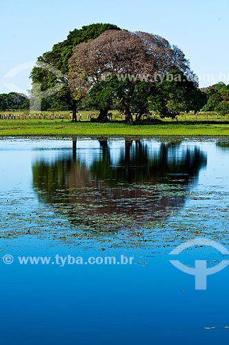  Subject: Lake at Sao Joao Farm / Place: Corumba city - Mato Grosso do Sul state (MS) - Brazil / Date: 10/2010 