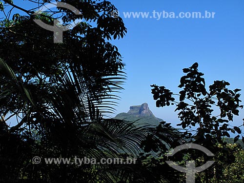  Subject: Rock of Gavea sight from Tijuca Forest / Place: Rio de Janeiro city - Rio de Janeiro state (RJ) - Brazil / Date: 10/2011 