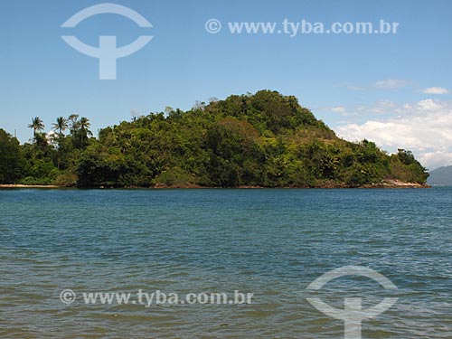 Subject: Atlantic Rainforest in Tangua Beach - Environmental Protection Area of Tamoios / Place: Angra dos Reis city - Rio de Janeiro state (RJ) - Brazil / Date: 10/2011 