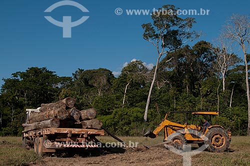  Subject: Loading of logs of wood in the Seringal Cachoeira / Place: Xapuri city - Acre state (AC) - Brazil / Date: 07/2008 