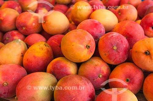  Subject: Mango sale on in free fair / Place: Belem city - Para state (PA) - Brazil / Date: 11/2009 