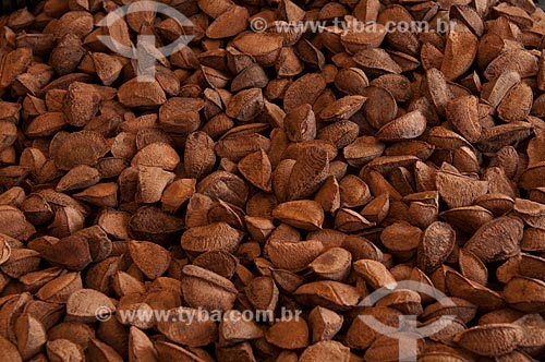 Subject: Brazil nuts in the fair of Ver-o-Peso Market / Place: Belem city - Para state (PA) - Brazil / Date: 07/2008 
