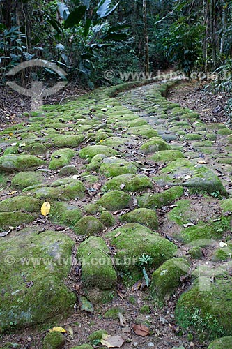  Subject: Golden Road - Stone Road made by slaves to transport gold from Minas Gerais to Parati / Place: Paraty city - Rio de Janeiro state (RJ) - Brazil / Date: 07/2011 