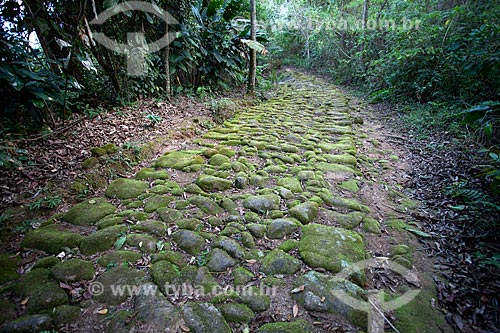  Subject: Golden Road - Stone Road made by slaves to transport gold from Minas Gerais to Parati / Place: Paraty city - Rio de Janeiro state (RJ) - Brazil / Date: 07/2011 