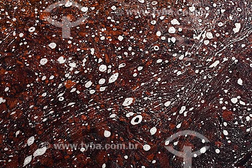  Subject: Foam on the surface of water in the Chapada Diamantina River / Place: Lençois - Bahia state (BA) - Brazil / Date: 07/2011 
