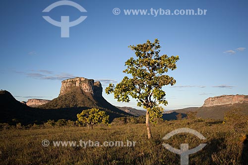  Subject: View of Camelo Hill / Place: Bahia state (BA) - Brazil / Date: 07/2011 