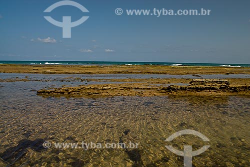 Subject: Natural pools in reefs of Muro Alto Beach / Place: Ipojuca city - Pernambuco state (PE) - Brazil / Date: 10/2011 