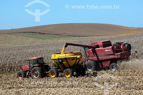  Subject: Corn harvest / Place: Capao Bonito do Sul city - Rio Grande do Sul state (RS)- Brazil / Date: 04/2011 