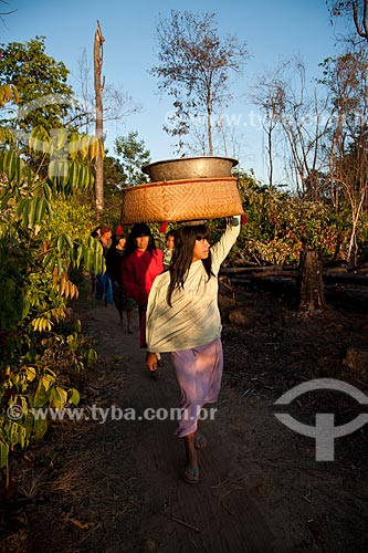  Subject: Indian Aiha Village ethnicity Kalapalo going to harvest the cassava / Place: Querencia city - Mato Grosso state (MT) - Brazil / Date: 07/2011 