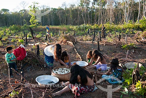  Subject: Indian Aiha Village ethnicity Kalapalo going to harvest the cassava / Place: Querencia city - Mato Grosso state (MT) - Brazil / Date: 07/2011 