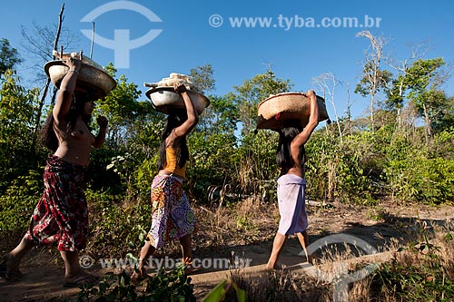  Subject: Indian Aiha Village ethnicity Kalapalo going to harvest the cassava / Place: Querencia city - Mato Grosso state (MT) - Brazil / Date: 07/2011 