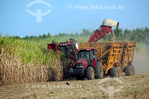  Subject: Mechanized harvesting of sugarcane in Jaiba Project - Irrigation project with water abstraction from the Sao Francisco River / Place: Matias Cardoso city - Minas Gerais state (MG) - Brazil / Date: 09/2011 