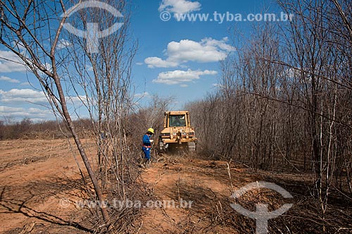  Suppression of forest of caatinga in land use on landfill of the Sao Francisco River transposition - Project for Integration of the Sao Francisco River with the watersheds of the Septentrional Northeast  - Mauriti city - Ceara state (CE) - Brazil