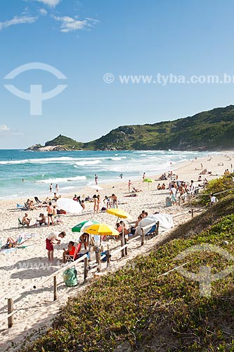  Subject: Mole Beach - one of the most crowded beaches of Island of Santa Catarina during summer season / Place: Florianopolis city - Santa Catarina state (SC) - Brazil / Date: 27/11/2011 