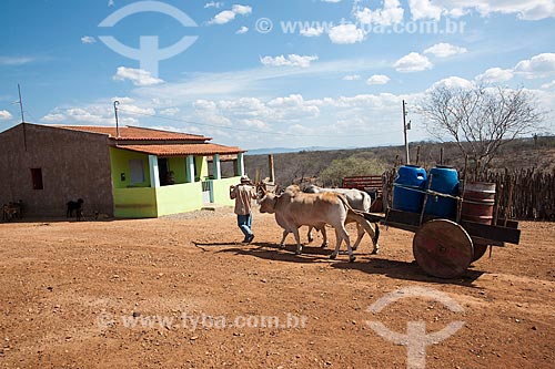  Jose Francisco da Silva resident of the rural zone of the city of custody picking up ox cart to fetch water in the dam expropriated to build the  Cacimba Nova reservoir - Work of transposition of the Sao Francisco River  - Custodia city - Pernambuco state (PE) - Brazil