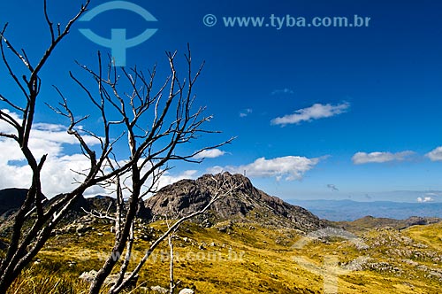  Subject: View of the Agulhas Negras Peak / Place: Resende city - Rio de Janeiro state (RJ) - Brazil / Date: 07/2010 