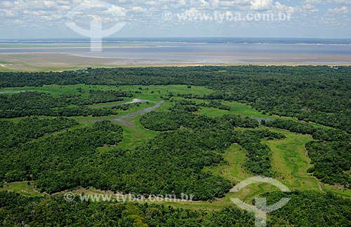  Subject: View of the Anavilhanas Archipelago - It is located between the municipalities of Manaus and Novo Airao - biggest drought registered / Place: Amazonas state (AM) - Brazil / Date: 11/2010 